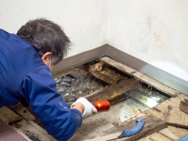 Water Damage Restoration in Westerville, OH