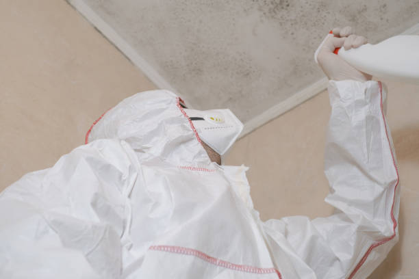 Best Affordable Mold Removal  in Westerville, OH