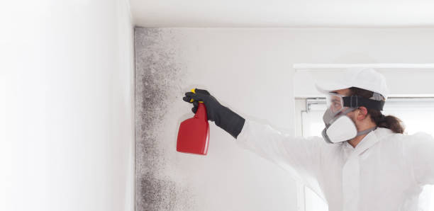 Best Office Mold Removal Services  in Westerville, OH