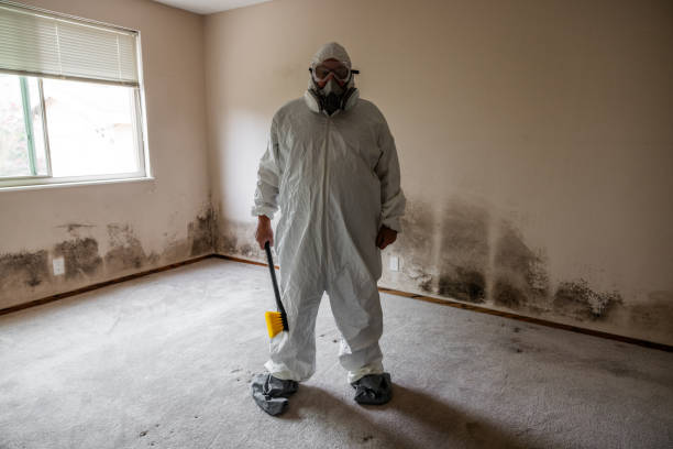 Best Mold Remediation Services  in Westerville, OH